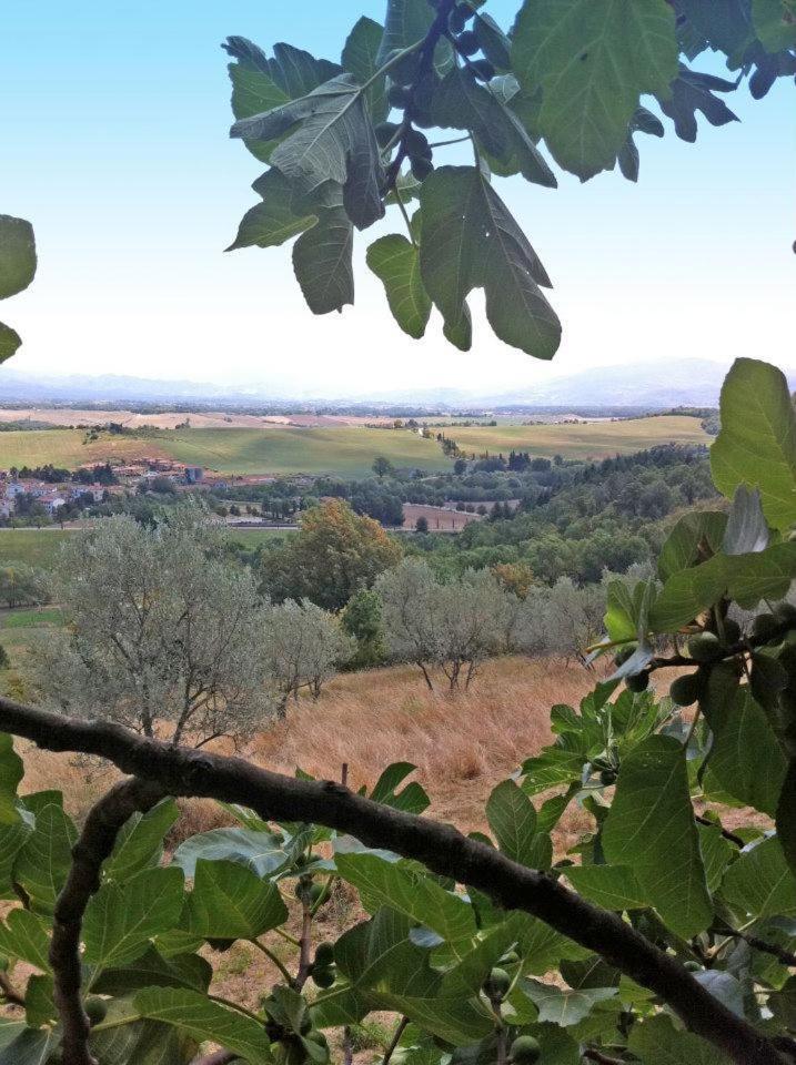 Agriturismo Il Palazzaccio Villa Galliano Exterior photo