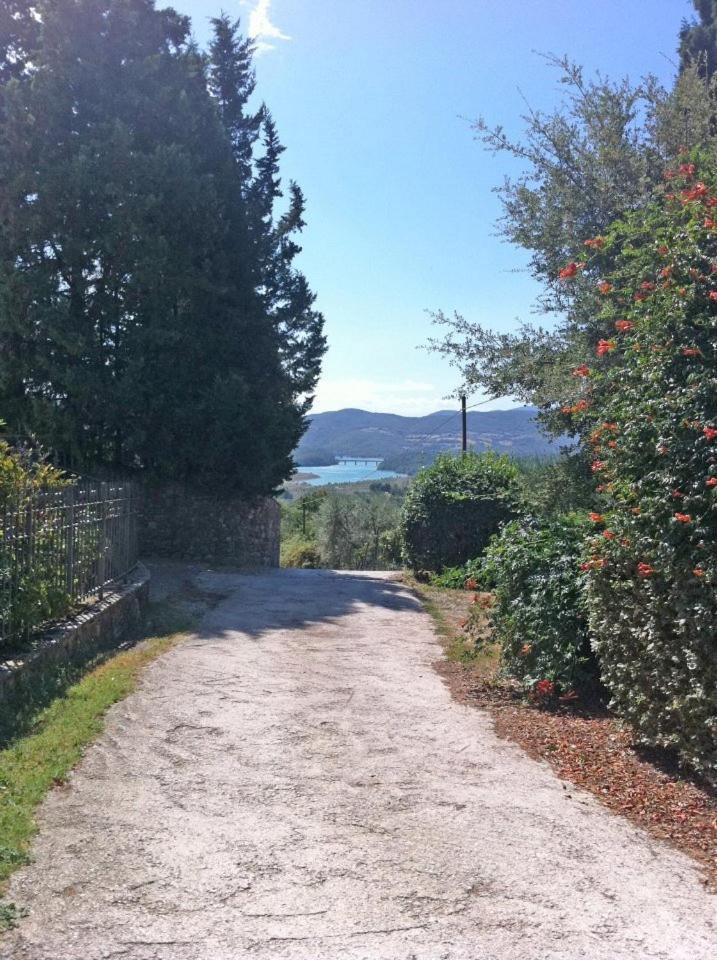 Agriturismo Il Palazzaccio Villa Galliano Exterior photo