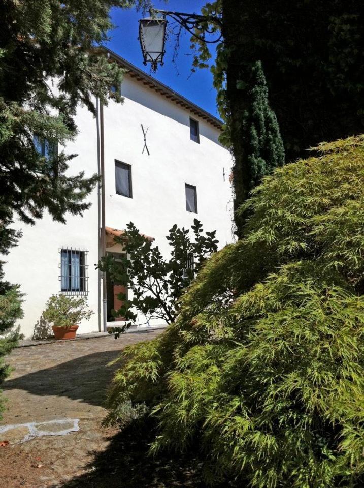 Agriturismo Il Palazzaccio Villa Galliano Exterior photo